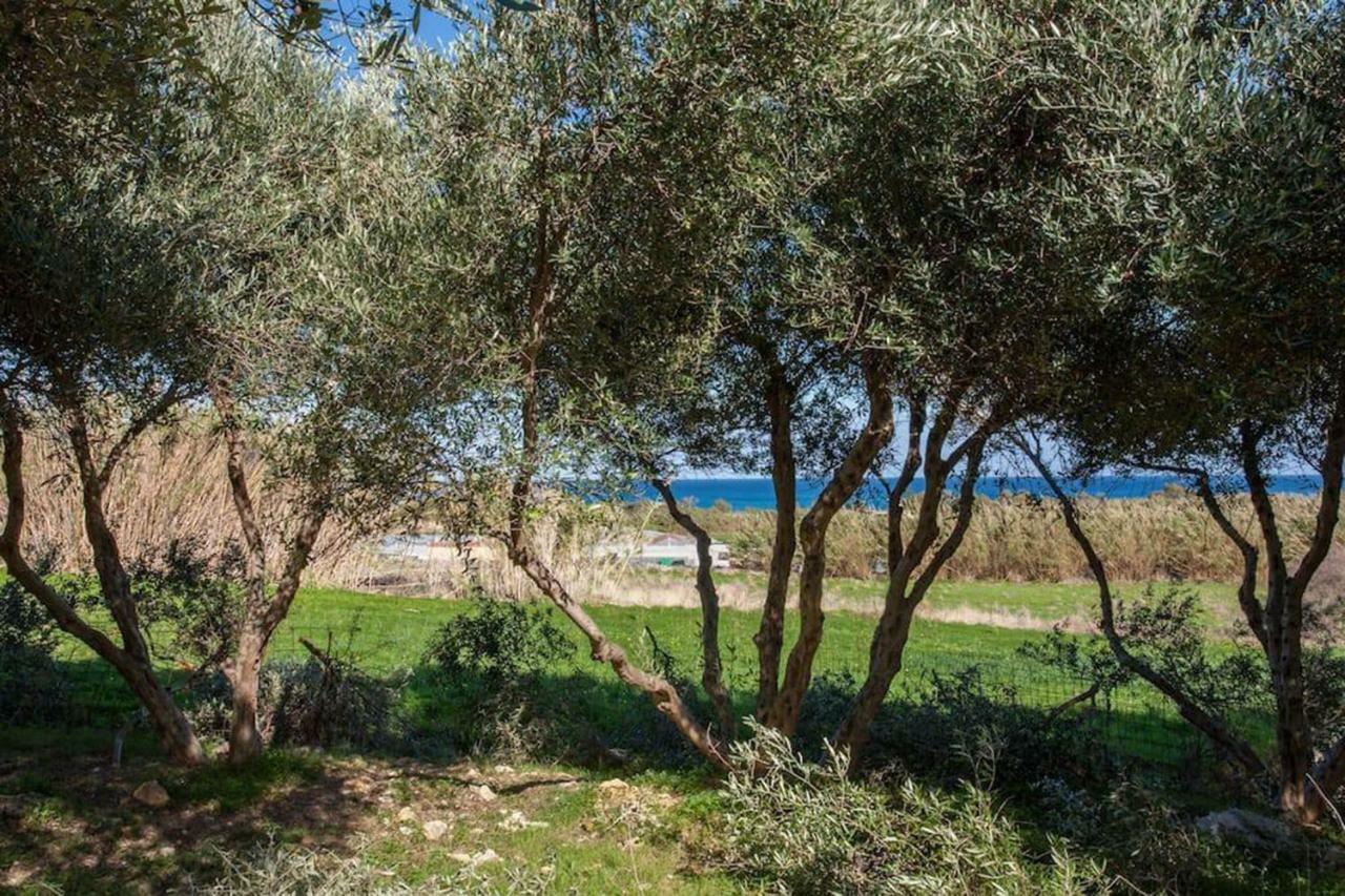 Olive Tree Farm 200M From The Beach Episkopi-Chania Eksteriør billede