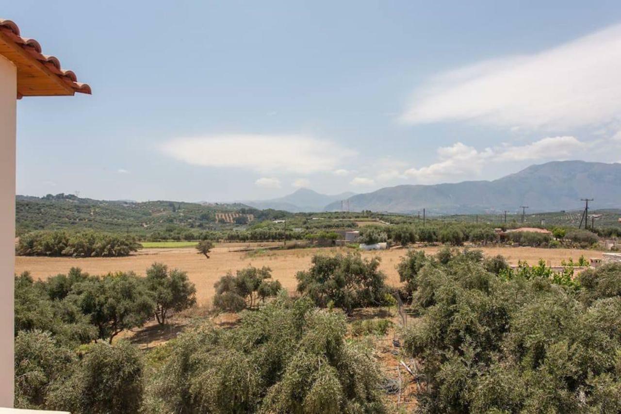 Olive Tree Farm 200M From The Beach Episkopi-Chania Eksteriør billede