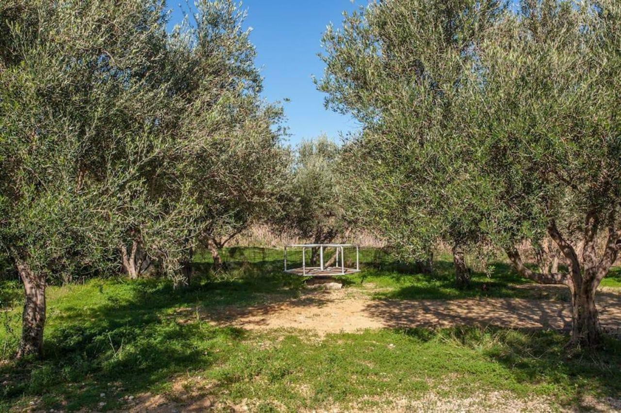 Olive Tree Farm 200M From The Beach Episkopi-Chania Eksteriør billede