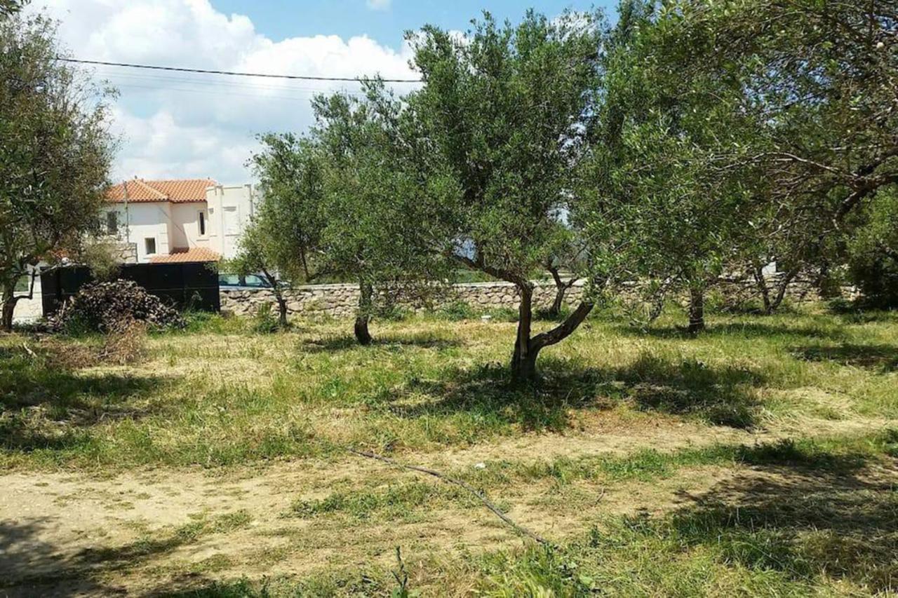 Olive Tree Farm 200M From The Beach Episkopi-Chania Eksteriør billede